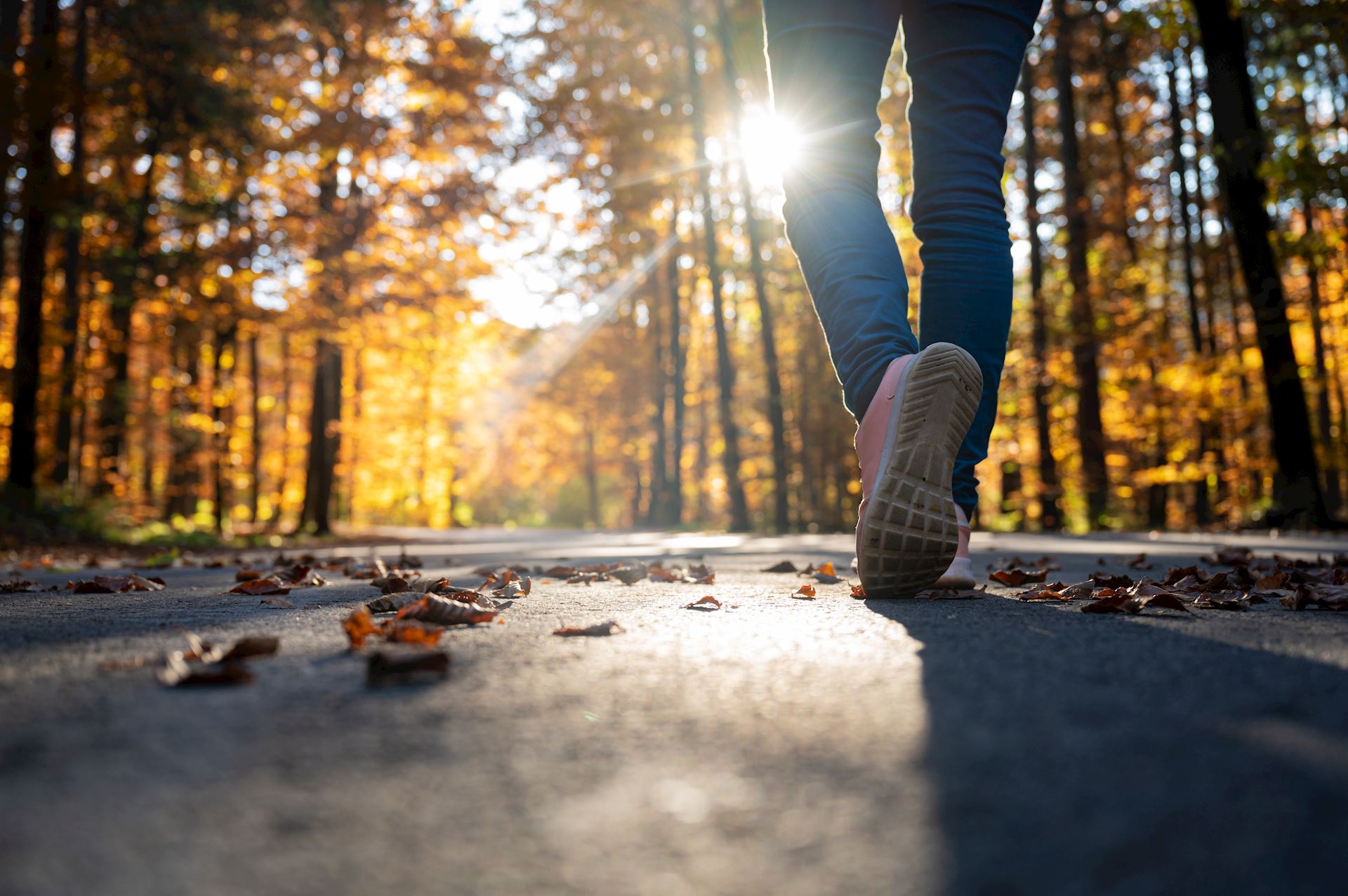 Read more about Falling into Wellness: Adapting Physical Therapy for Autumn